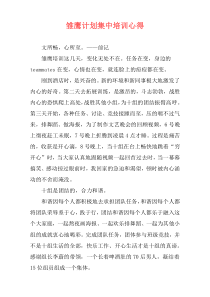雏鹰计划集中培训心得