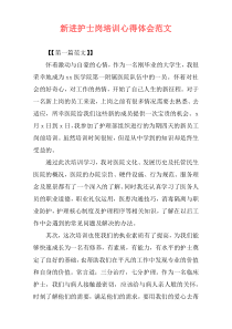 新进护士岗培训心得体会范文