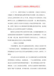 企业执行力培训心得体会范文