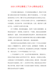 2020大学生暑假三下乡心得体会范文