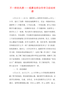 不一样的风景——观摩名师合作学习活动有感