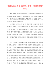 实践活动心得体会范文：青春，在澄湖村绽放过