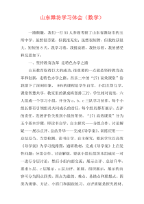山东潍坊学习体会（数学）