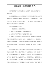 保险公司（述职报告）个人
