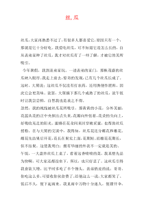 丝,瓜