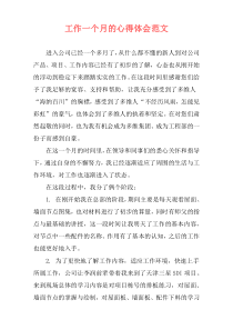 工作一个月的心得体会范文