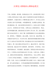 大学生入职培训心得体会范文