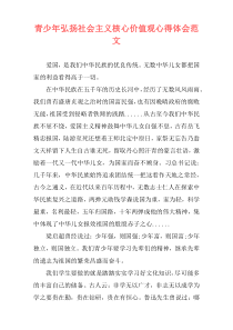 青少年弘扬社会主义核心价值观心得体会范文