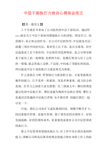 中层干部执行力培训心得体会范文