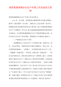 商贸流通领域安全生产年度工作总结范文范例