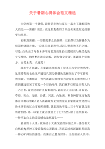 关于暑期心得体会范文精选