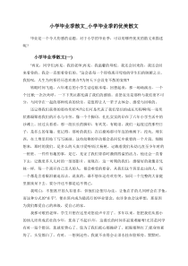 小学毕业季散文-小学毕业季的优美散文