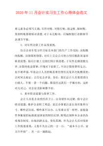 2020年11月会计实习生工作心得体会范文