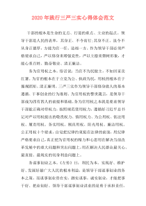 2020年践行三严三实心得体会范文