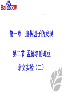 孟德尔的豌豆杂交实验(二)课件ppt-生物高二必修二第一章第二节人教版