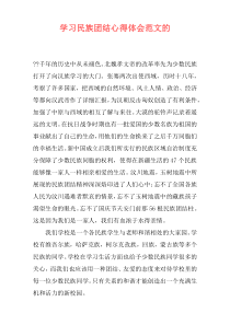 学习民族团结心得体会范文的