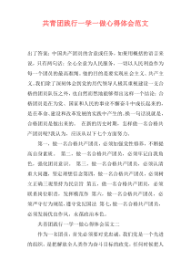共青团践行一学一做心得体会范文