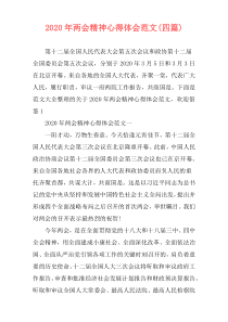 2020年两会精神心得体会范文(四篇)