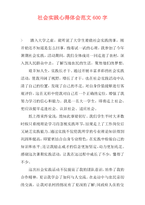 社会实践心得体会范文600字