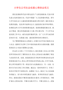 大学生公司社会实践心得体会范文