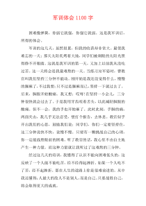 军训体会1100字