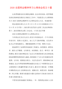 2020全国两会精神学习心得体会范文十篇