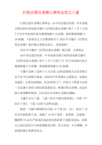 打铁还需自身硬心得体会范文八篇