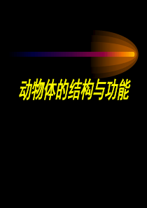 动物体的结构与功能组织