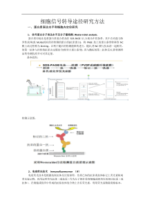 细胞信号转导研究方法