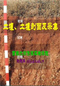 (完整版)土壤、土壤剖面及采集