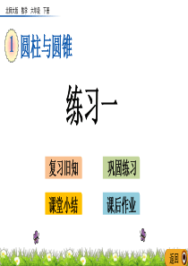 北师大版六年级数学下册第一单元《圆柱与圆锥》1.8-练习一-PPT课件