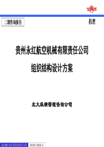 北大纵横-贵州永红-组织结构设计方案