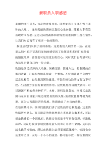 新职员入职感想