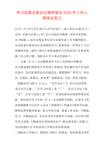 学习县委全委会议精神落实2020年工作心得体会范文