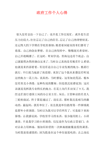 政府工作个人心得