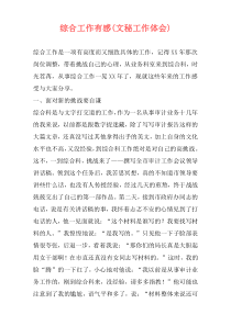 综合工作有感(文秘工作体会)