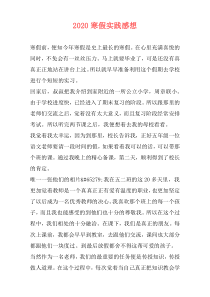 2020寒假实践感想