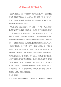 公司安全生产工作体会
