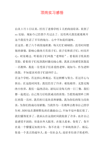 顶岗实习感悟