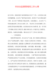 市安全监督管理局工作心得