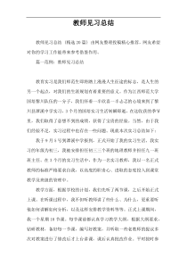 教师见习总结