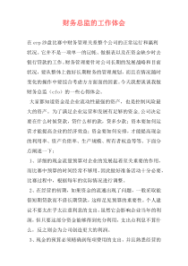 财务总监的工作体会