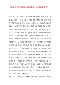 领导干部作风整顿建设活动心得体会范文
