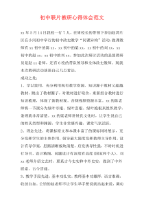 初中联片教研心得体会范文