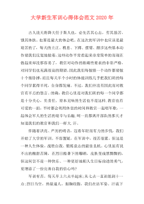 大学新生军训心得体会范文2020年