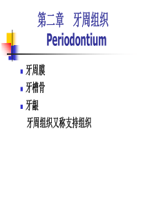 口腔组织病理学_第二章牙周组织