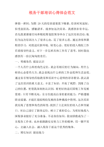 税务干部培训心得体会范文