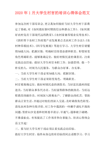 2020年1月大学生村官的培训心得体会范文