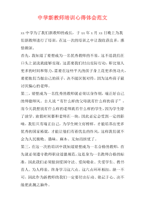 中学新教师培训心得体会范文