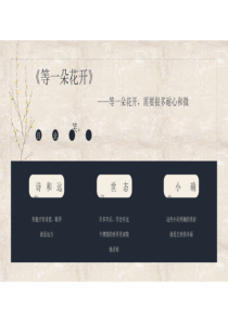 《等一朵花开》分享
